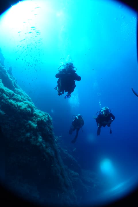 Foto Diving Chia: Quattro sagome sospese sul nulla — la sensazione del primo grande blu.