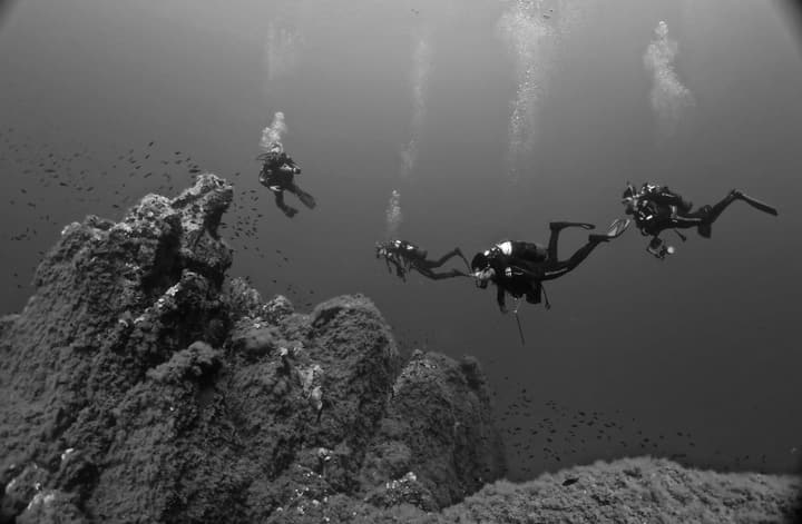 Foto Diving Chia: Bianco e nero. Quando l'avventura prende la forma di un'illustrazione vintage.