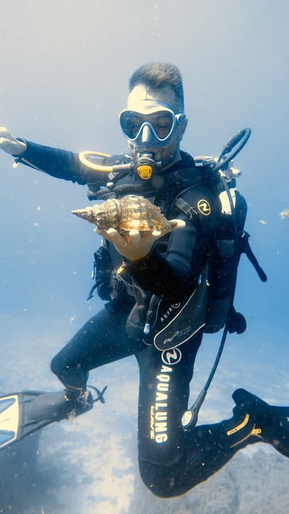 Foto Diving Chia: Trofeo di pace: una conchiglia ammirata, fotografata, poi rimessa al suo posto.