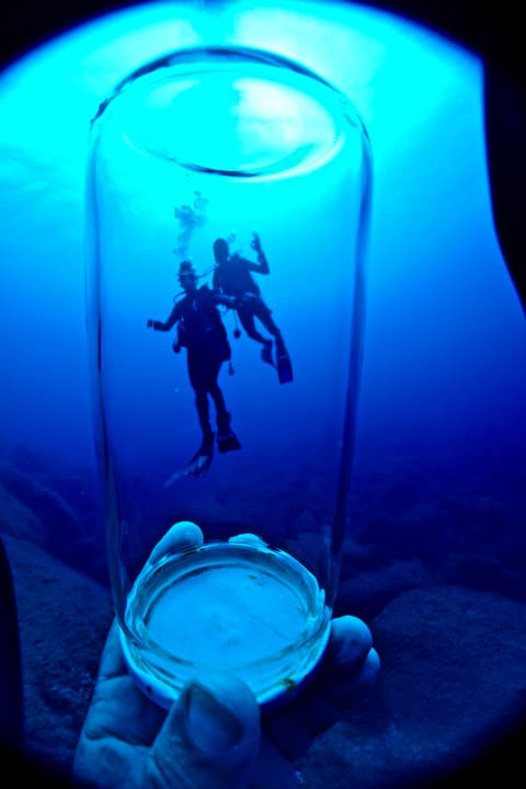 Foto Diving Chia: Due sub in un bicchiere. L'obiettivo gioca, il mare diventa arte.