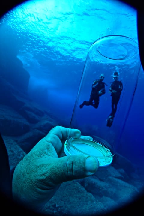 Foto Diving Chia: Buddy team incorniciati. Mano salda sul vetro, mondo intero dentro.