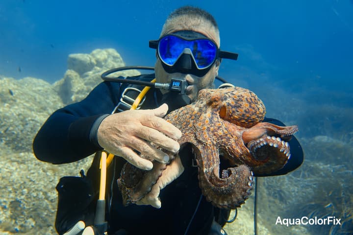 Foto Diving Chia: Mani e tentacoli. Tra sub e polpo c'è una conversazione che non ha bisogno di parole.