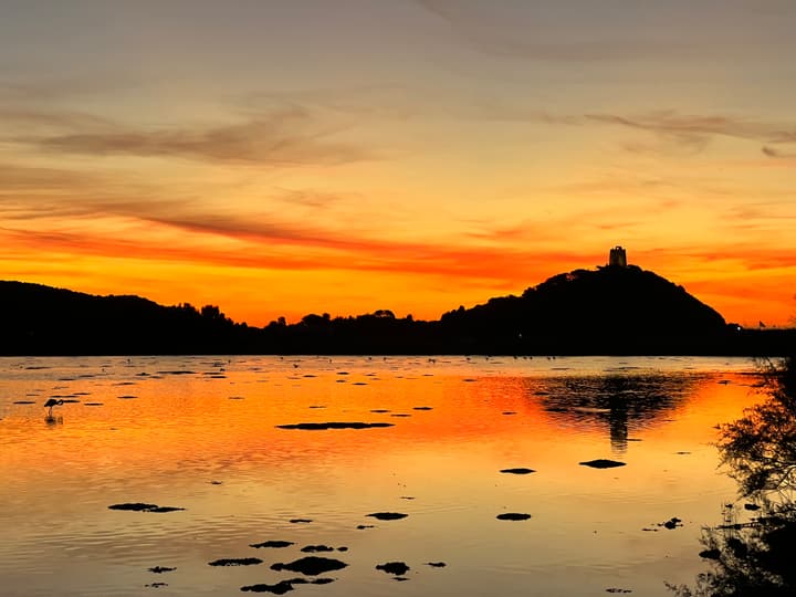 Foto Diving Chia: Tramonto sulla laguna dei fenicotteri. Quando la natura prende fuoco senza bruciare.