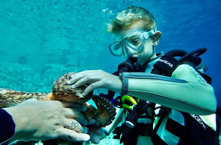 Foto Diving Chia: Mano nella mano con un polpo. La curiosità di un ragazzino vale più di mille lezioni.